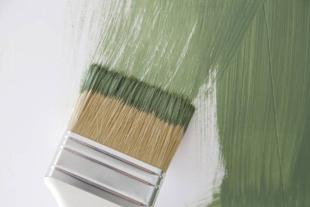 Mold Odor Removal Services in West Bay Shore, NY