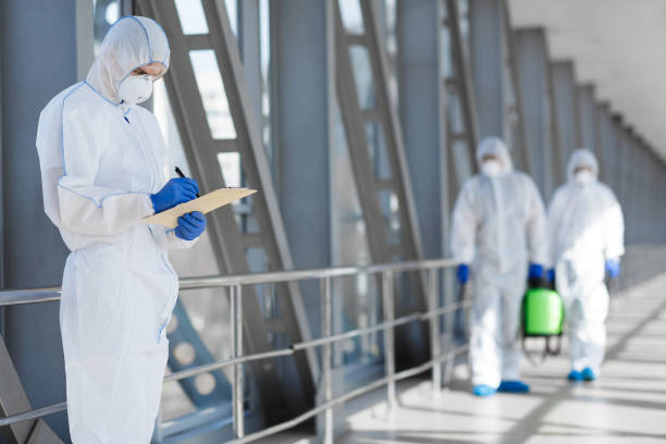 Best Mold Prevention Services  in West Bay Shore, NY