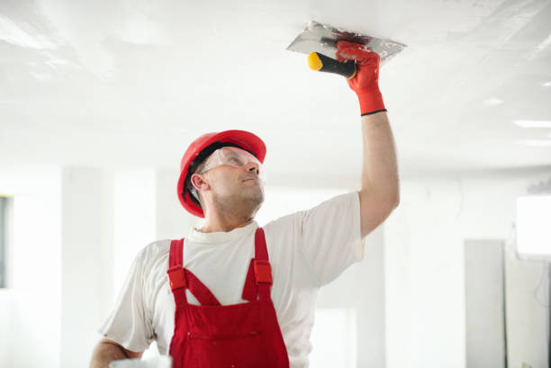 Best Mold Damage Restoration  in West Bay Shore, NY