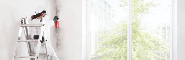 Best Mold Remediation for Healthcare Facilities  in West Bay Shore, NY